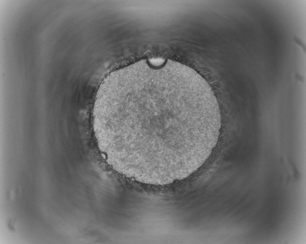 X0000102390144200808221833