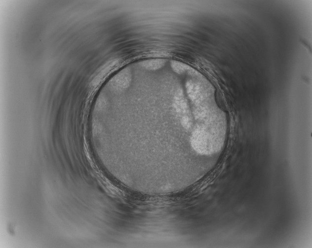 X0000102390145200808221833