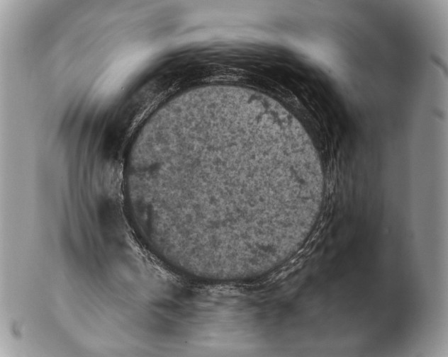 X0000102390146200808221833