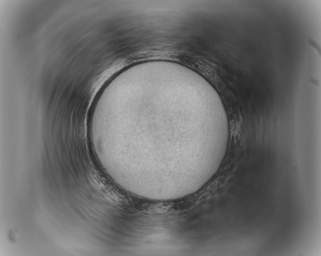 X0000102390148200808221833