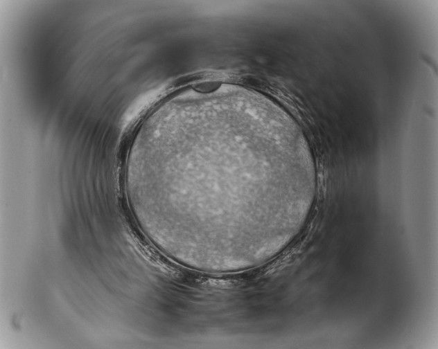 X0000102390149200808221833