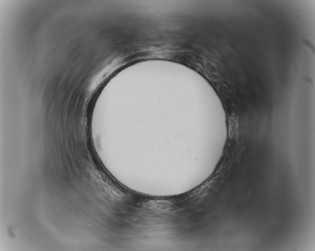 X0000102390150200808221833