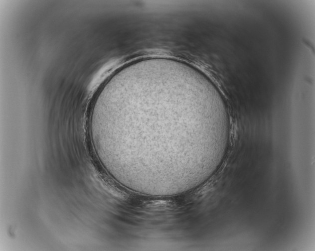 X0000102390151200808221833