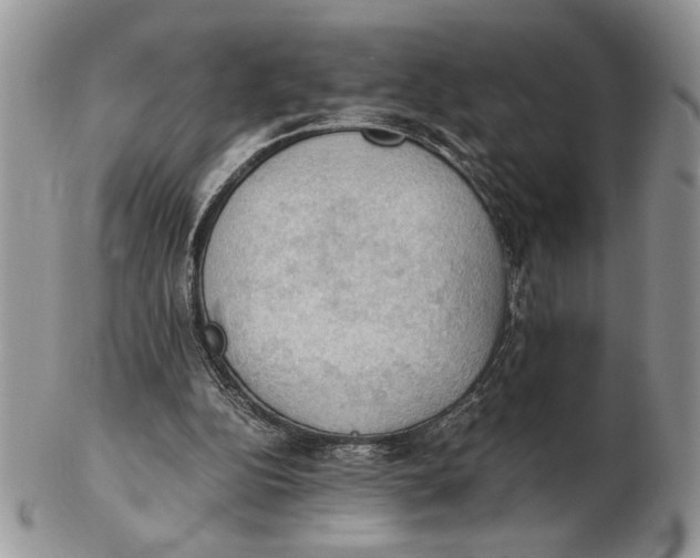 X0000102390152200808221833