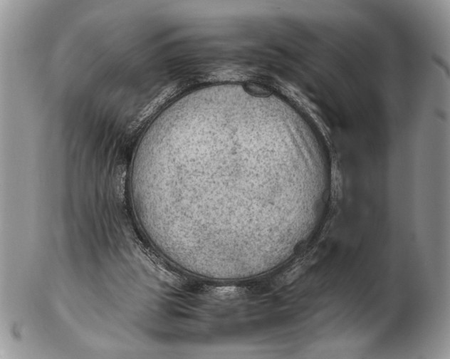 X0000102390153200808221833