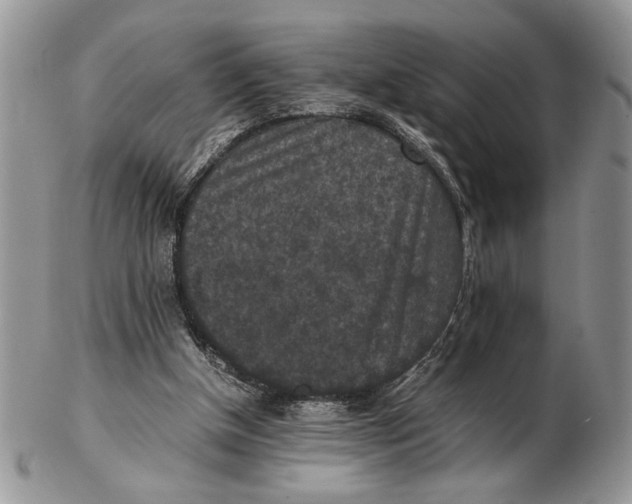 X0000102390154200808221833