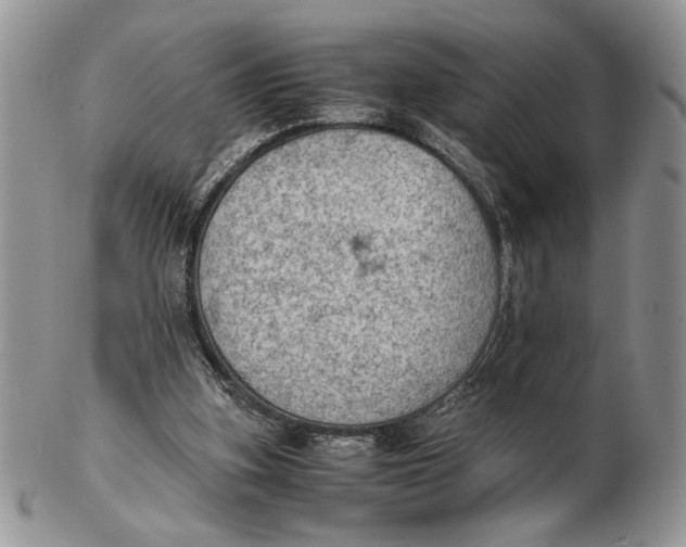 X0000102390155200808221833