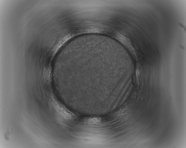 X0000102390156200808221833
