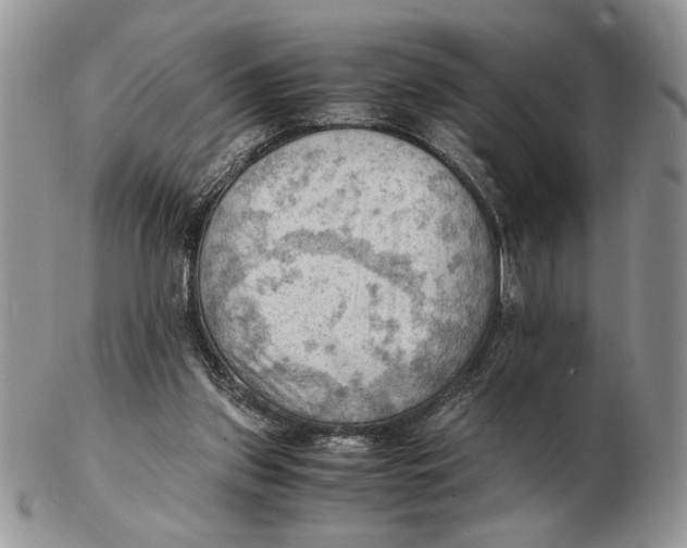 X0000102390157200808221833
