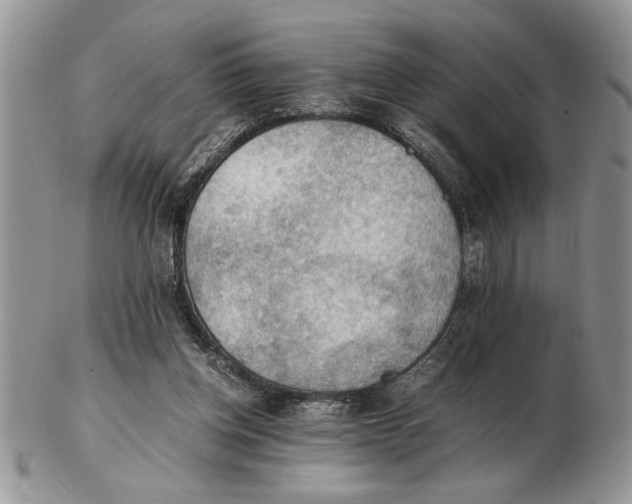 X0000102390158200808221833