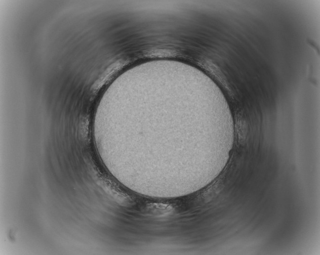 X0000102390159200808221833