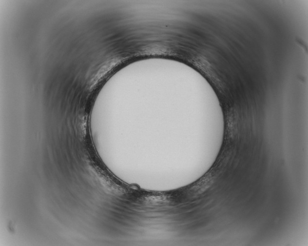 X0000102390160200808221833