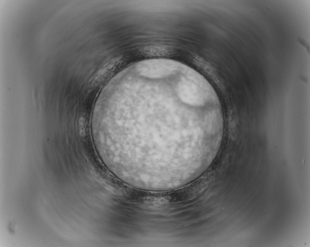 X0000102390161200808221833