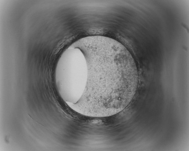 X0000102390162200808221833