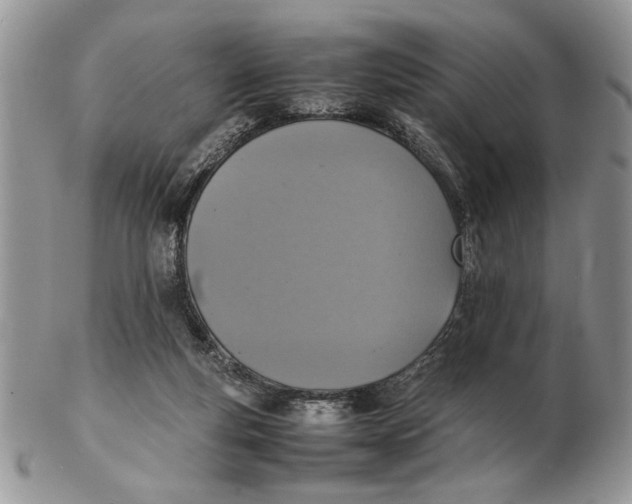 X0000102390163200808221833