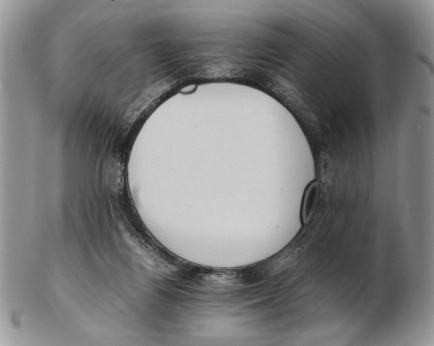 X0000102390164200808221833