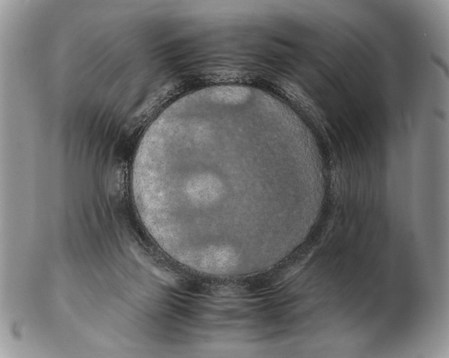 X0000102390165200808221833