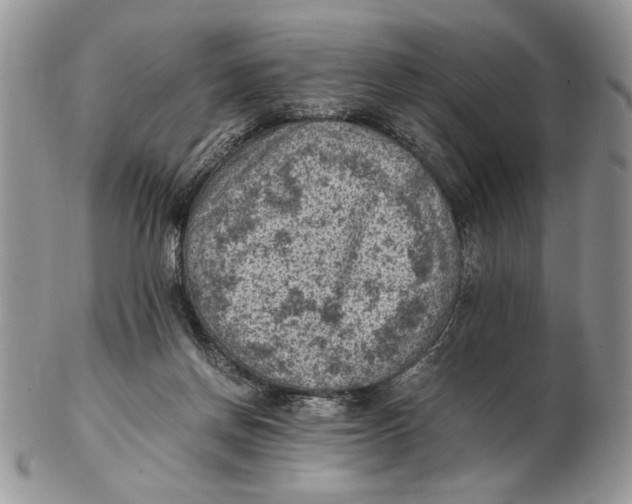 X0000102390166200808221833