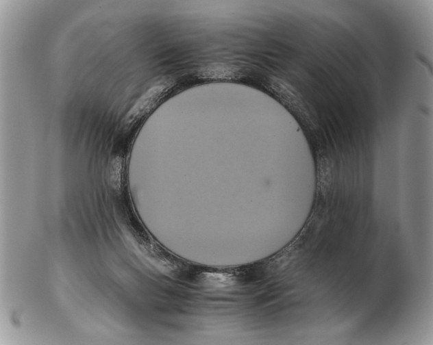 X0000102390167200808221833