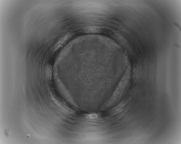 X0000102390168200808221833