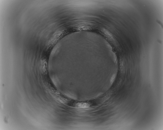 X0000102390169200808221833
