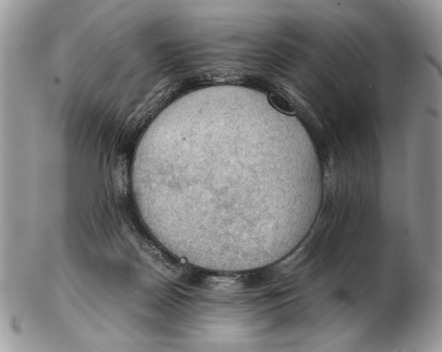 X0000102390170200808221833