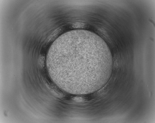 X0000102390171200808221833