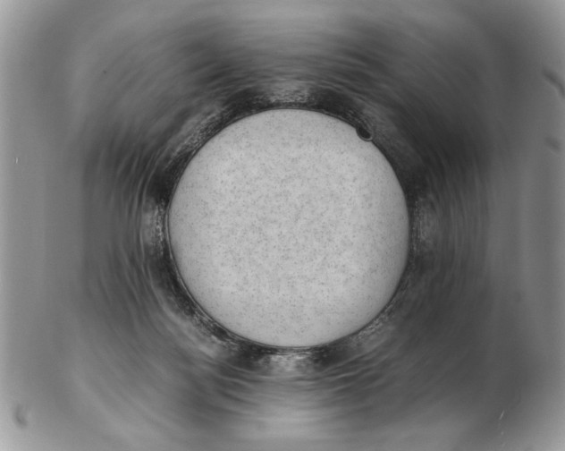 X0000102390172200808221833