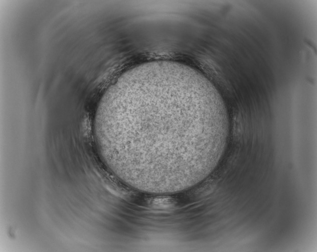 X0000102390173200808221833