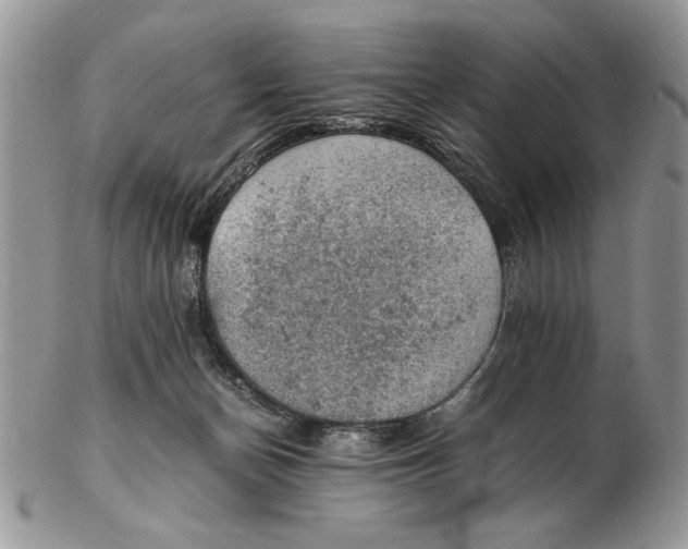 X0000102390174200808221833