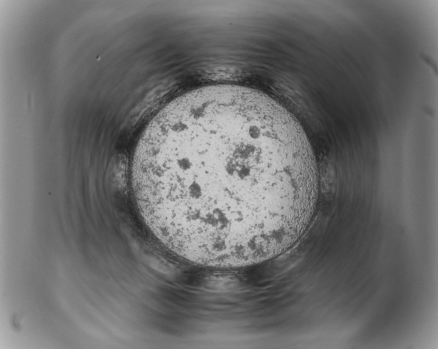 X0000102390175200808221833