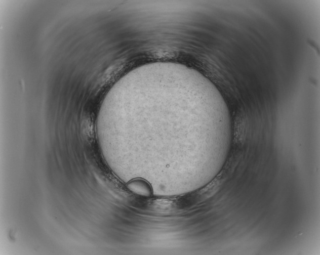X0000102390176200808221833