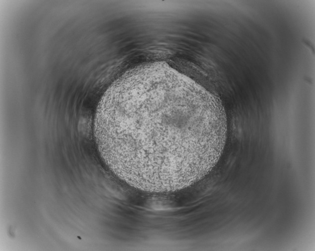 X0000102390177200808221833