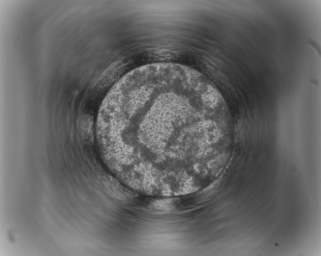 X0000102390178200808221833