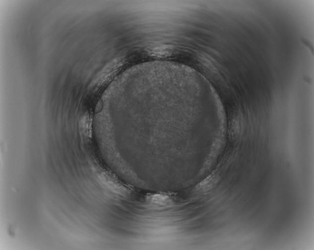 X0000102390180200808221833
