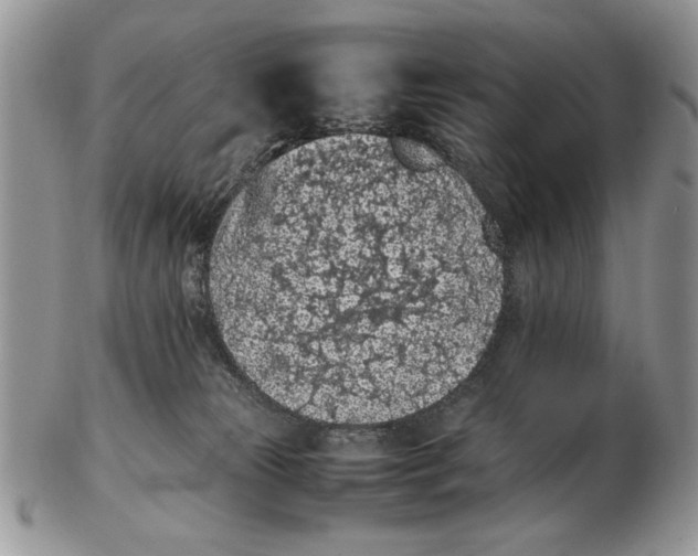 X0000102390181200808221833