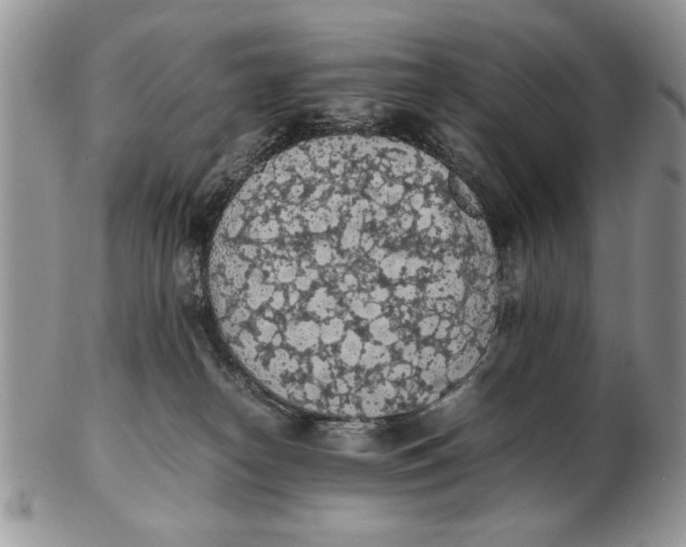 X0000102390182200808221833