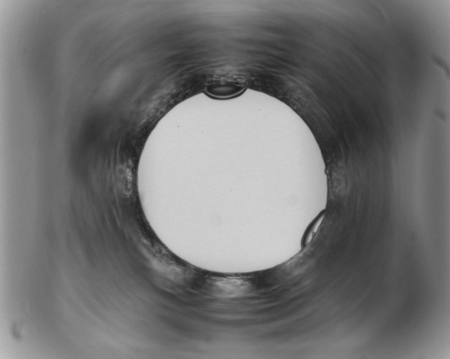 X0000102390183200808221833