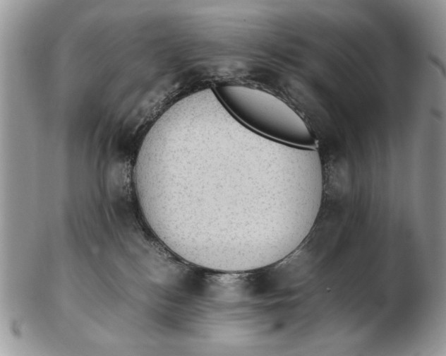 X0000102390184200808221833