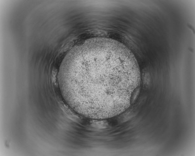 X0000102390185200808221833
