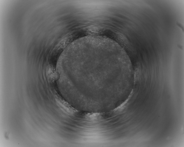 X0000102390186200808221833