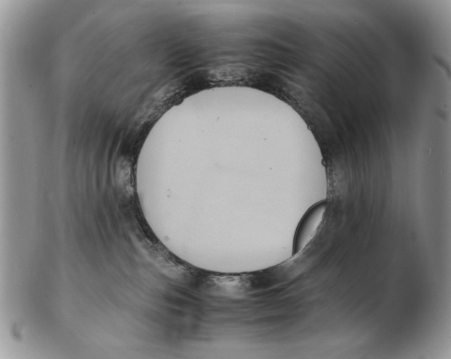 X0000102390187200808221833