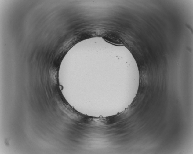X0000102390188200808221833
