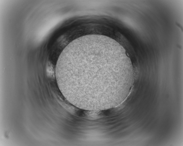X0000102390191200808221833
