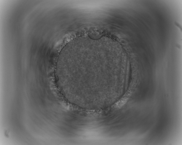X0000102390192200808221833