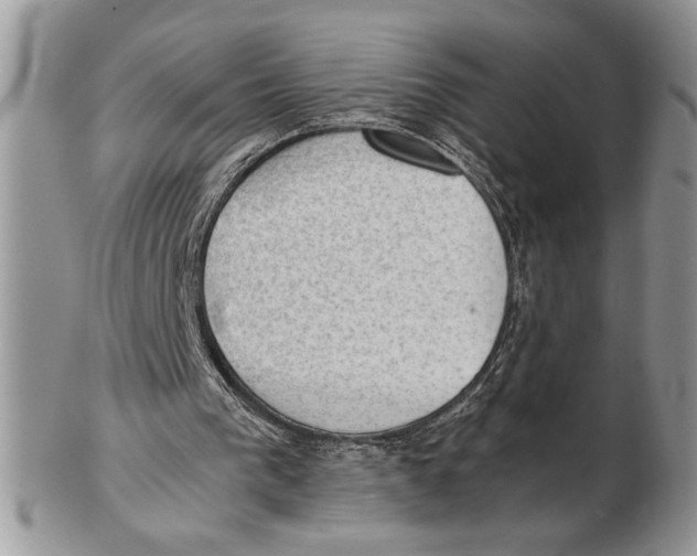 X0000102390193200808221833