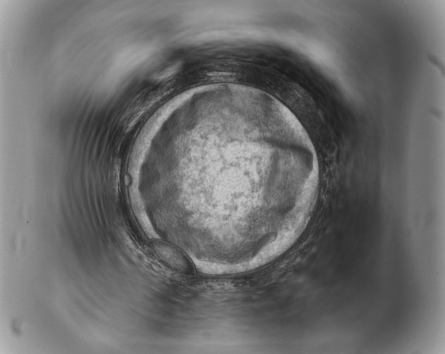 X0000102390194200808221833
