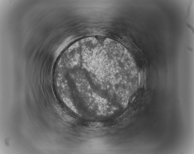 X0000102390195200808221833
