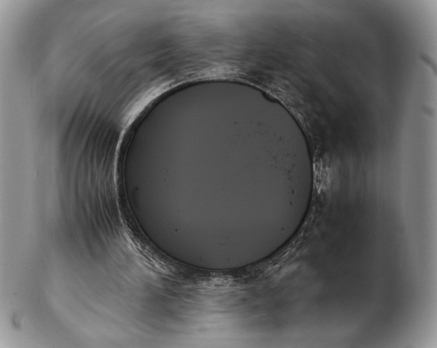 X0000102390196200808221833