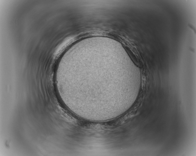 X0000102390197200808221833
